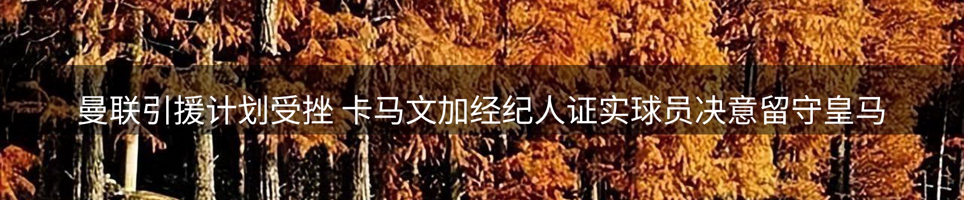 综合资讯