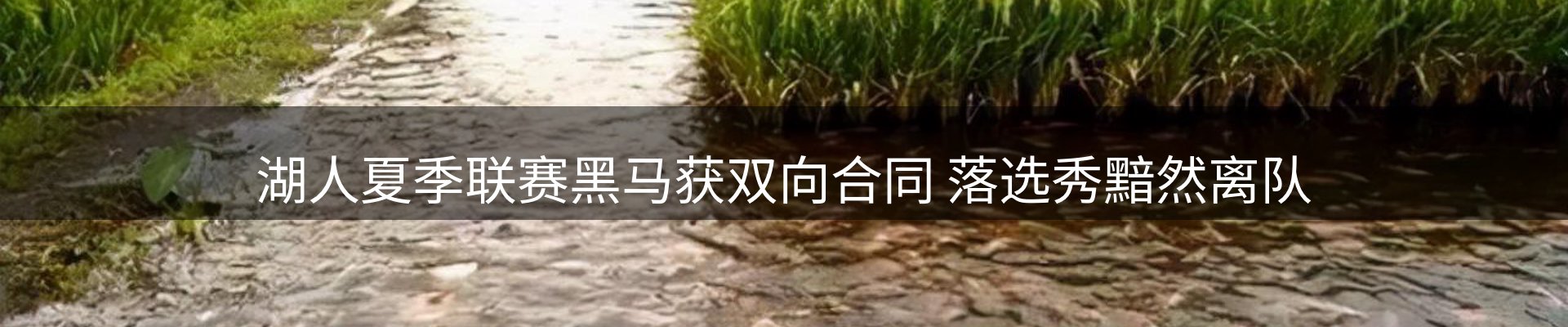 综合资讯
