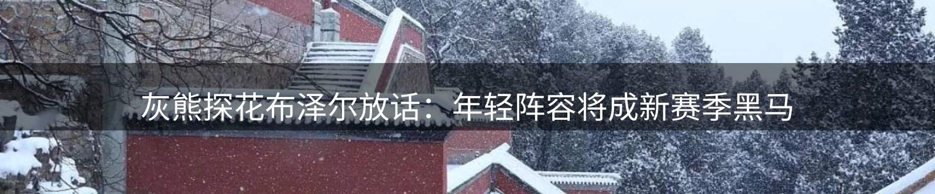 综合资讯
